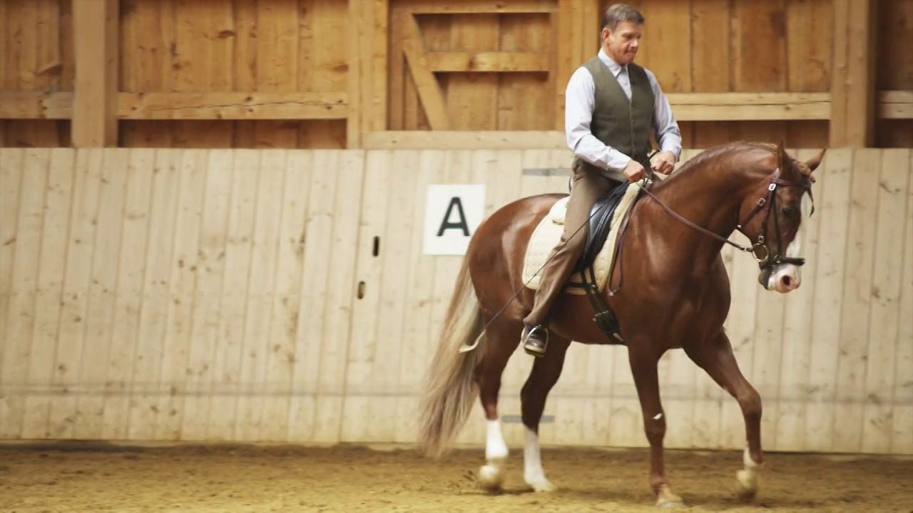 Reiten mit Marc de Brossia (Trailer)