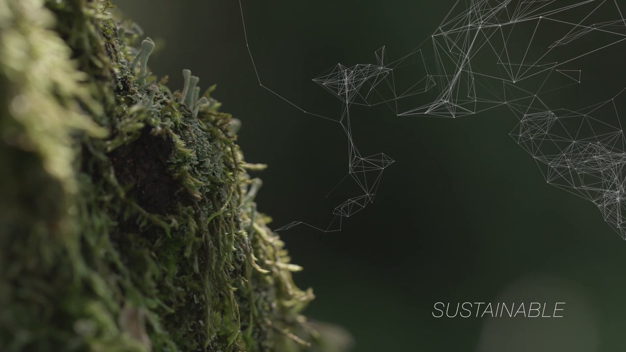 THE ‚SUSTAINABLE‘ PROJECT