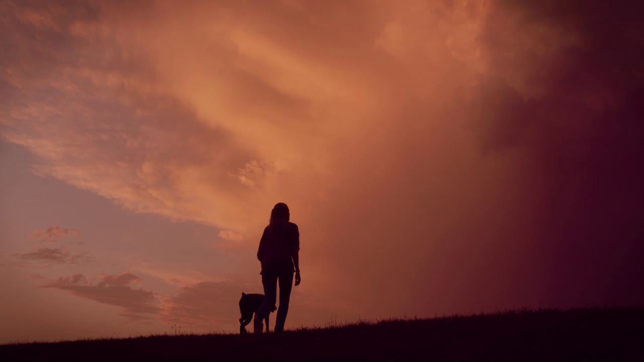 Terra Canis IMAGEFILM