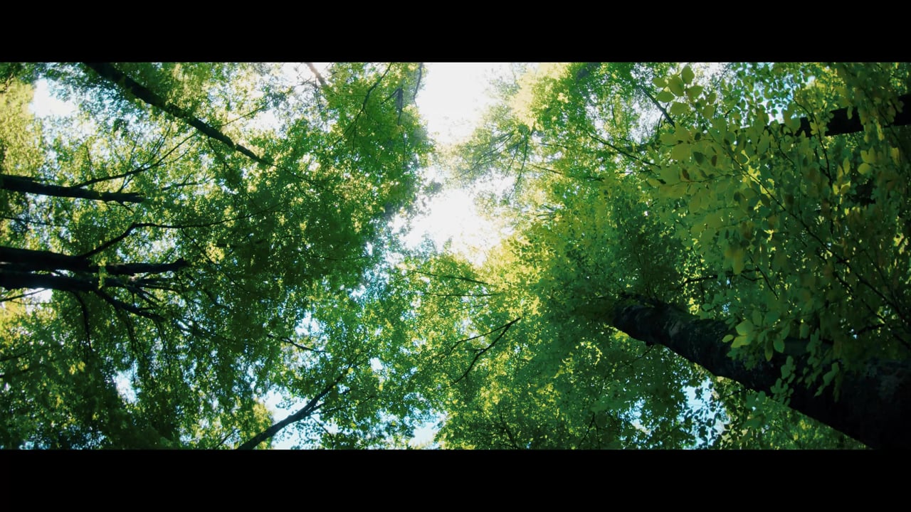 Zukunftswerk IMAGEFILM